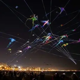 Spectacle nocturne de cerfs-volants lumineux